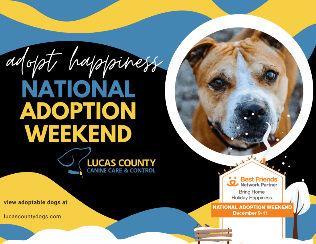 Best Friends Animal Society Sponsored National Adoption Weekend - Lucas  County Canine Care & Control
